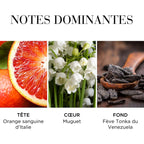 V4H511AF47CCCDB53B8BAA0CFC2ABBFB1F7R7472962P9