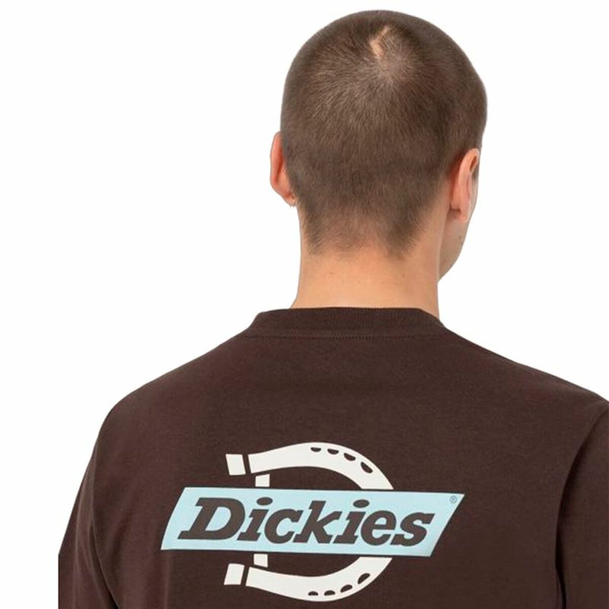 Herren Kurzarm-T-Shirt Dickies Ss Ruston Braun - AWK Flagship