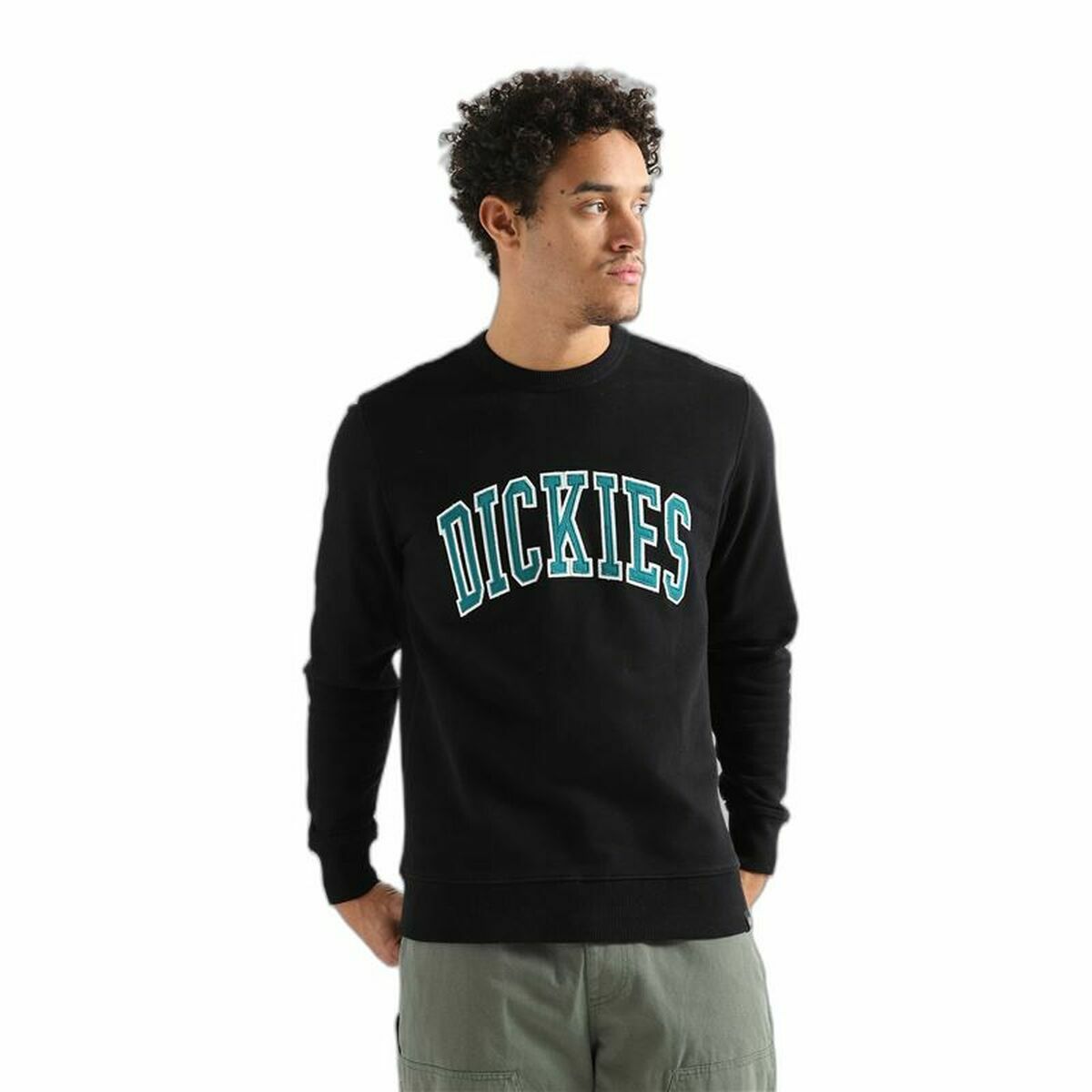 Sweater mit Kapuze Dickies Aitkin Schwarz - AWK Flagship