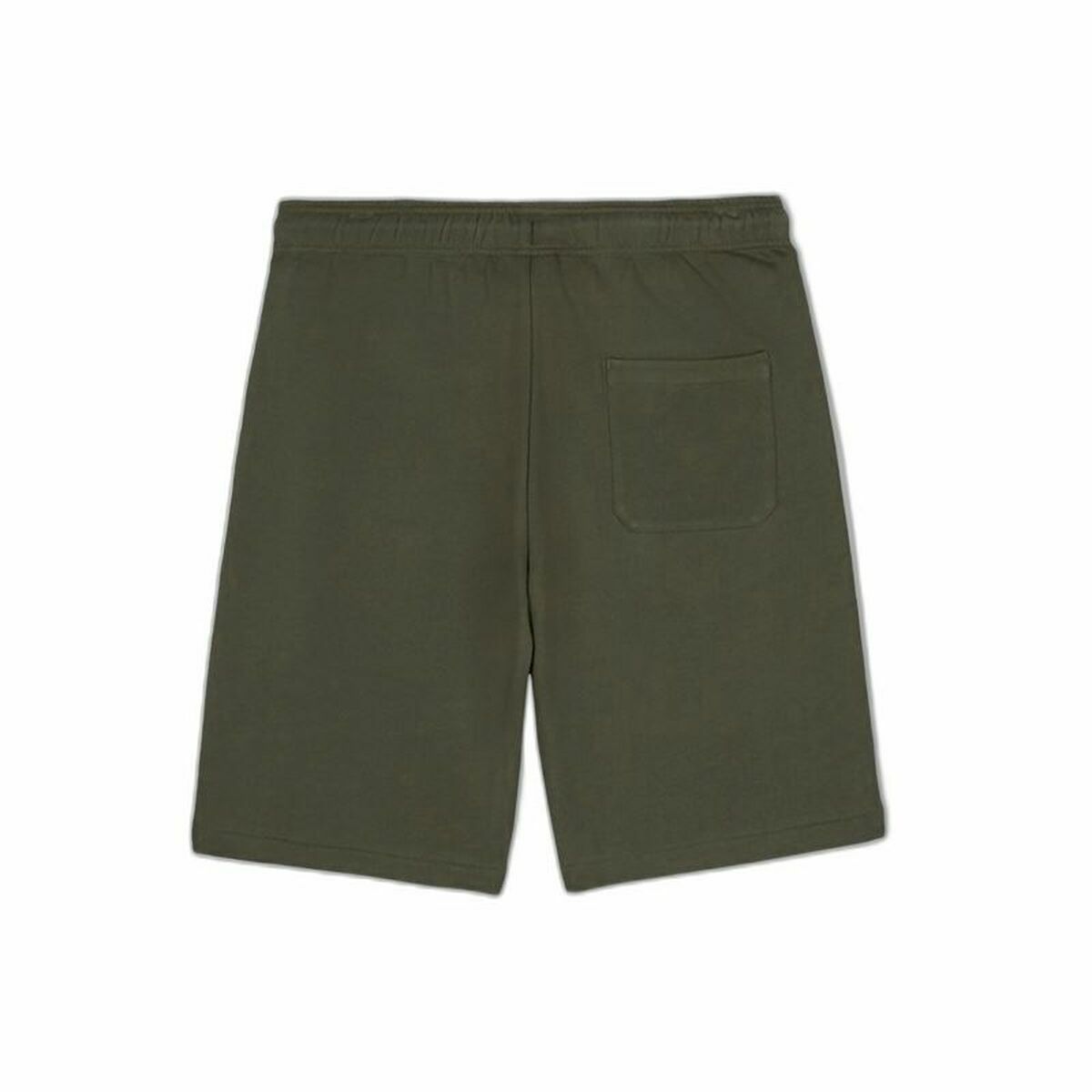 Sport Shorts Dickies Mapleton Militärgrün Olive - AWK Flagship