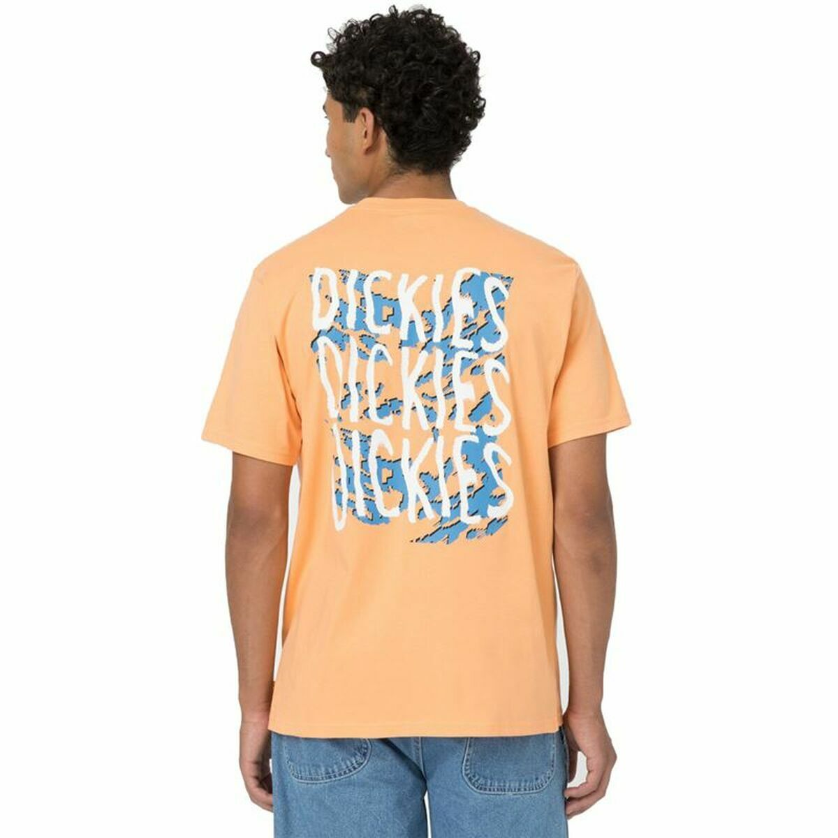 Kurzarm-T-Shirt Dickies Creswell Orange Herren - AWK Flagship