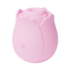 V2H49B2BDE89380E2F22AC4476556540A2CR7601603P1