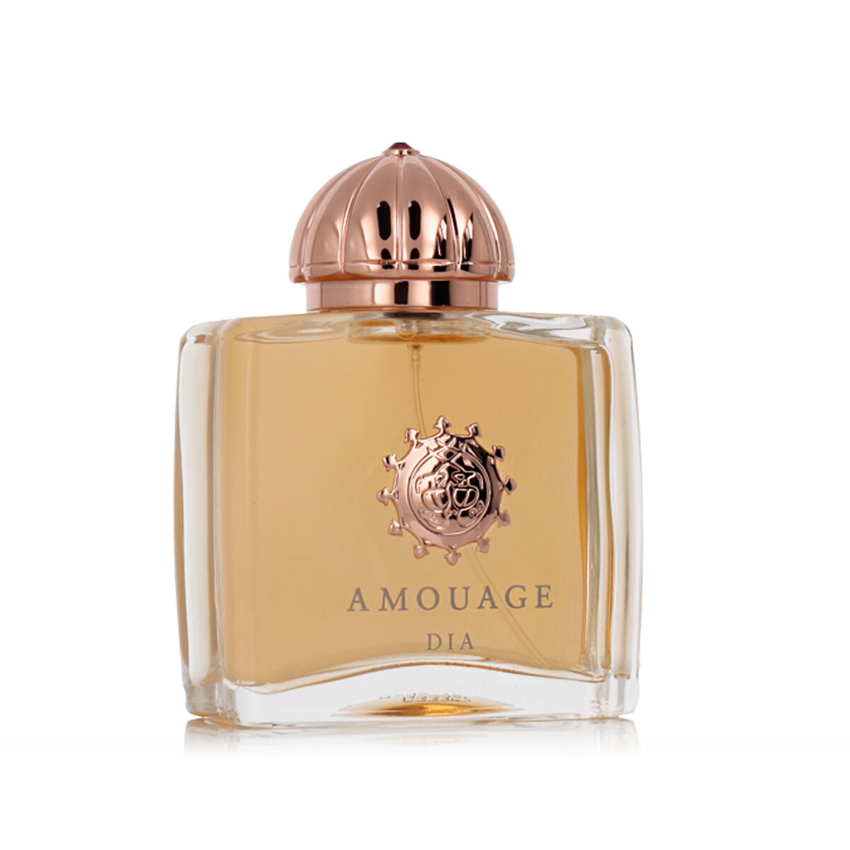 Damenparfüm Amouage Dia Woman EDP 100 ml - AWK Flagship