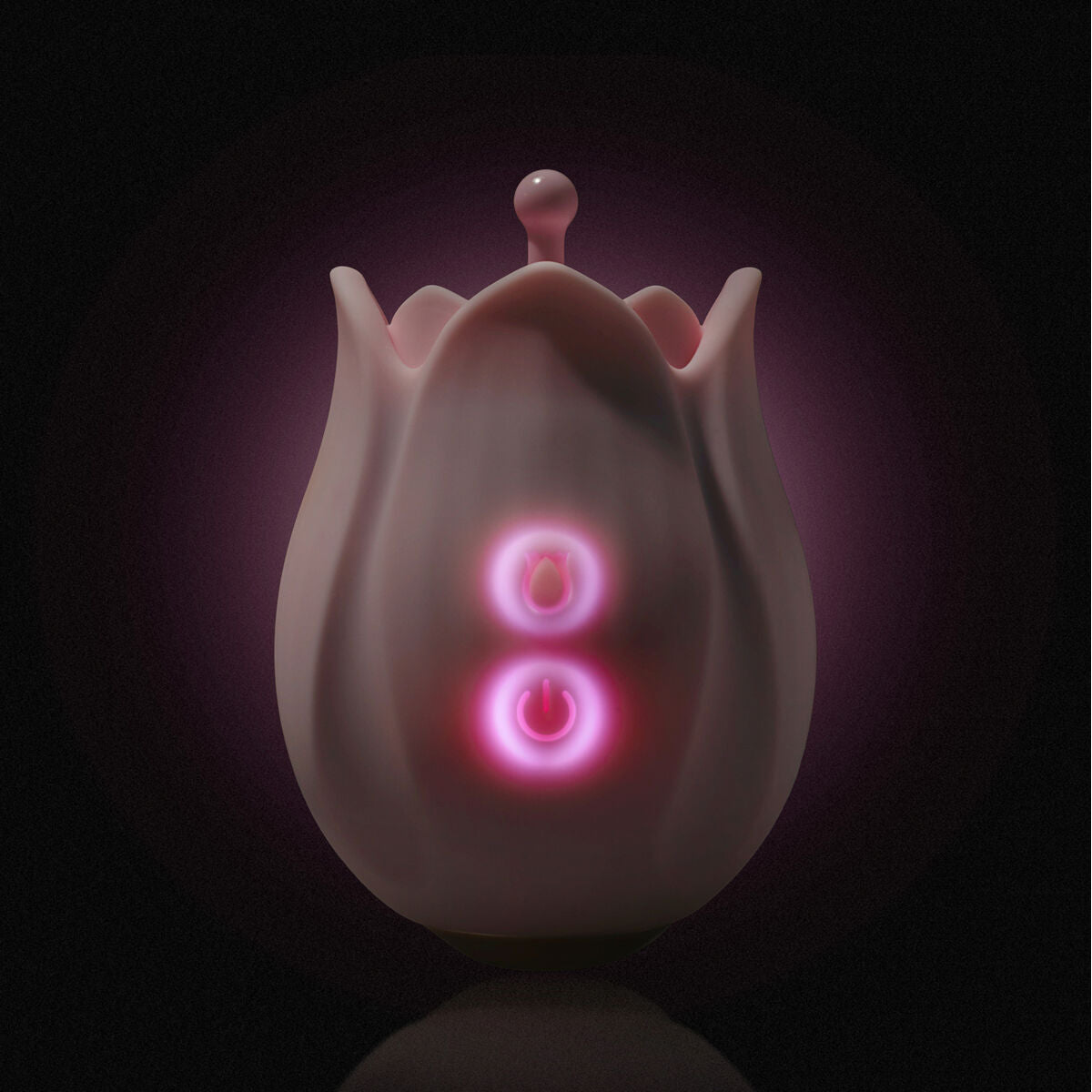 V5HA028E20E2EE1BFA89E0B193B262D38F8R5584141P8