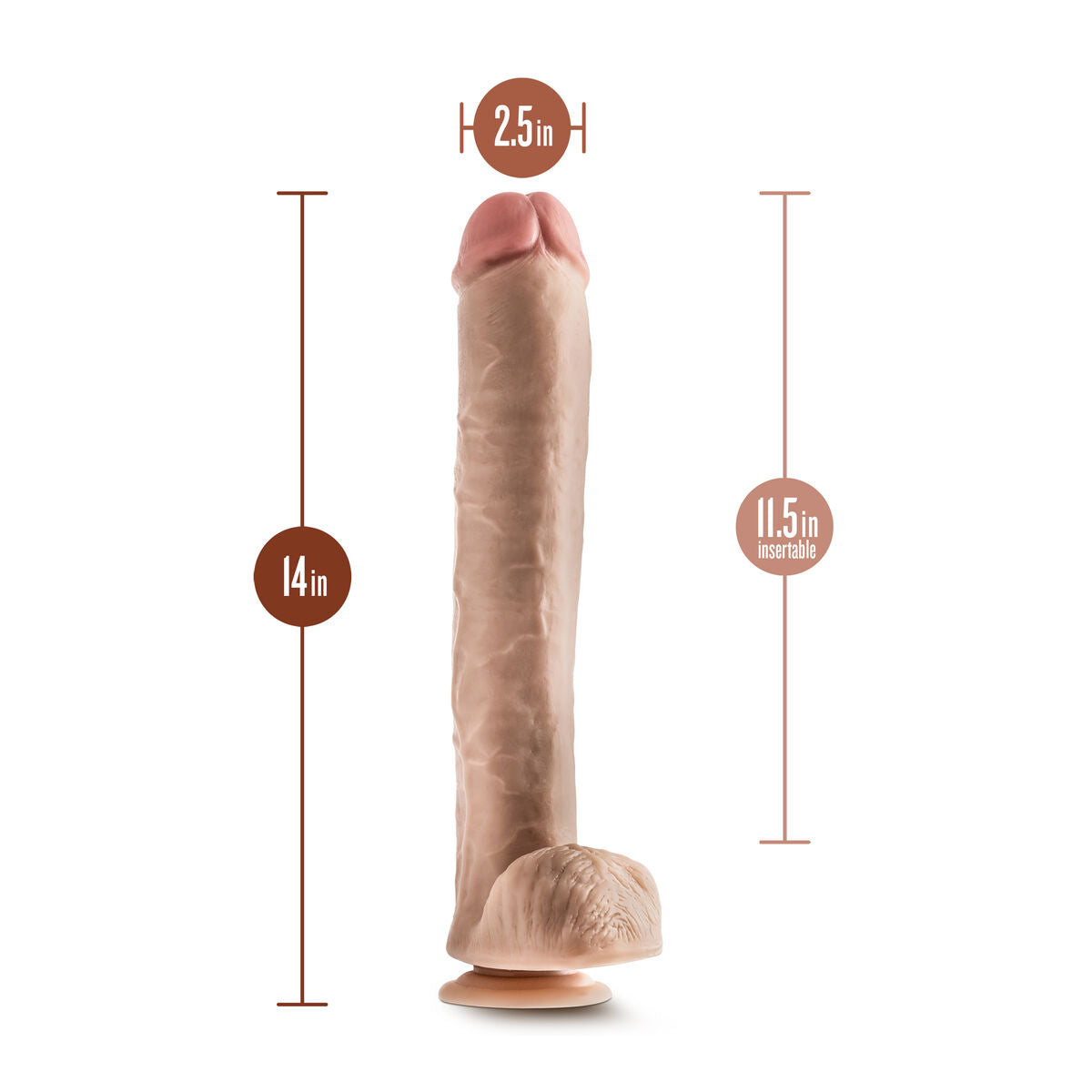 Natürliches Dildo Blush Dr Skin PVC Ø 6,3 cm - AWK Flagship