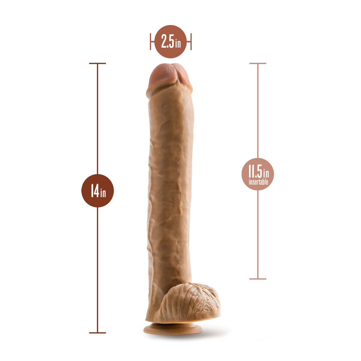 Natürliches Dildo Blush Dr Skin PVC Ø 6,3 cm (29,2 cm) - AWK Flagship