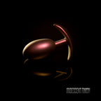 V6H04A9985F8B7D37F100992F8624F25E42R4786620P6