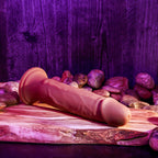 V6HE00B81C9BE145A3DDAFC987F36FE441ER4845586P3