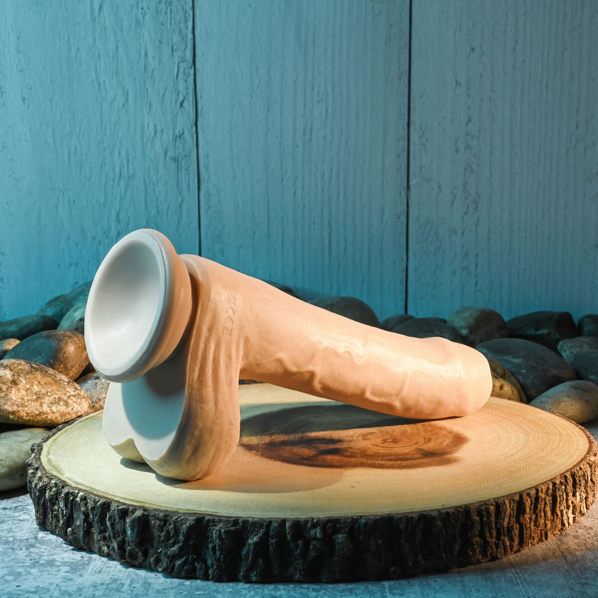 V6H580115C55B7C7DC5EF498F10F7587FFDR4846187P10