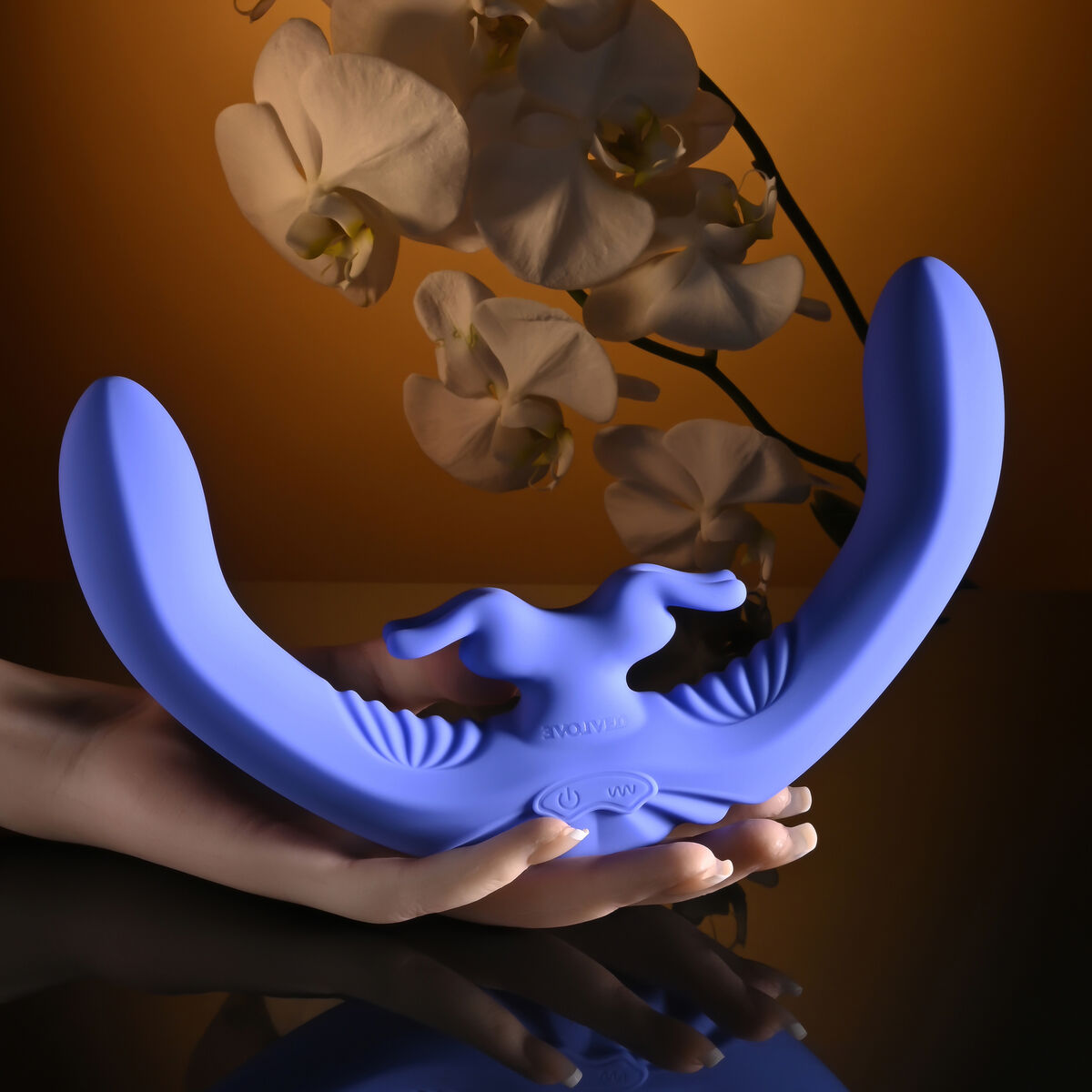 V5H86D47DA461E1ADD3283ACDCCCFC44C3ER5678741P5