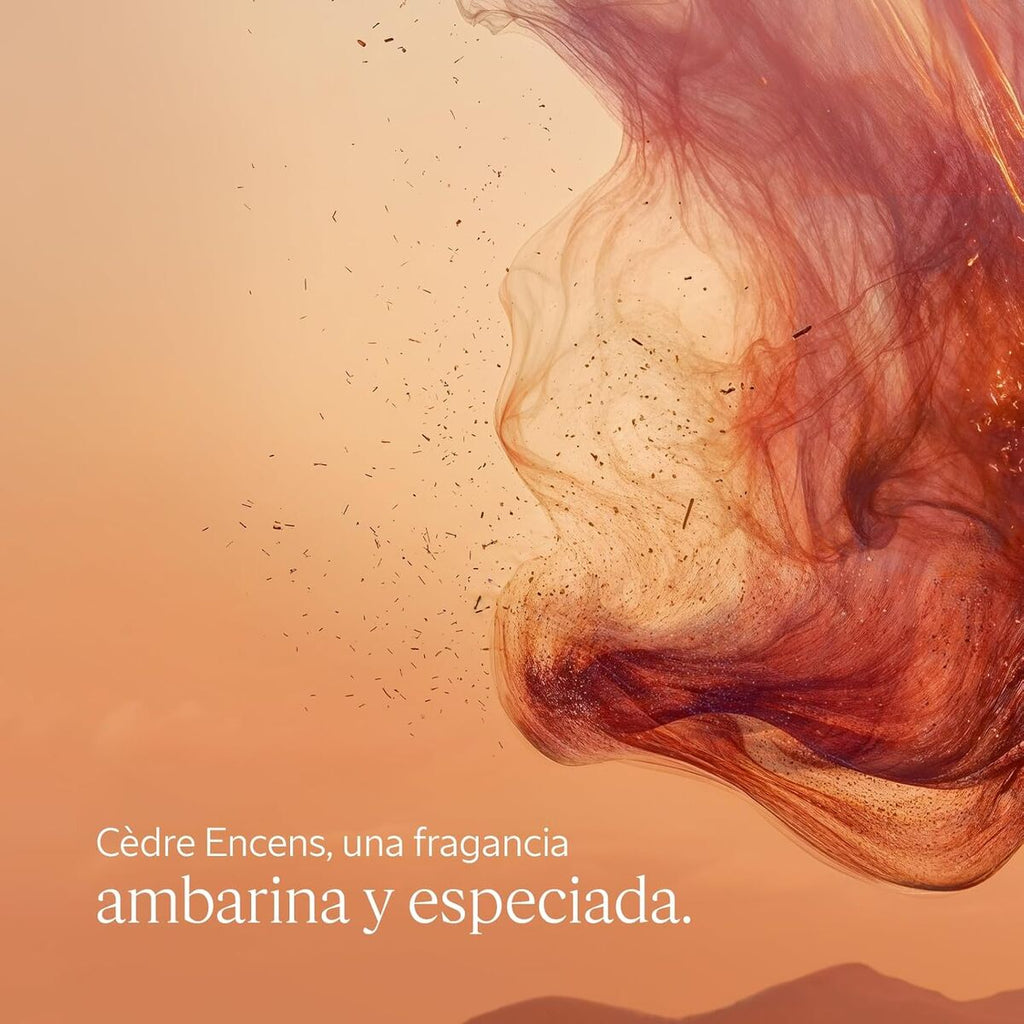 V3H7A47187D570C9A91A0FA2FF89590E957R7407119P3