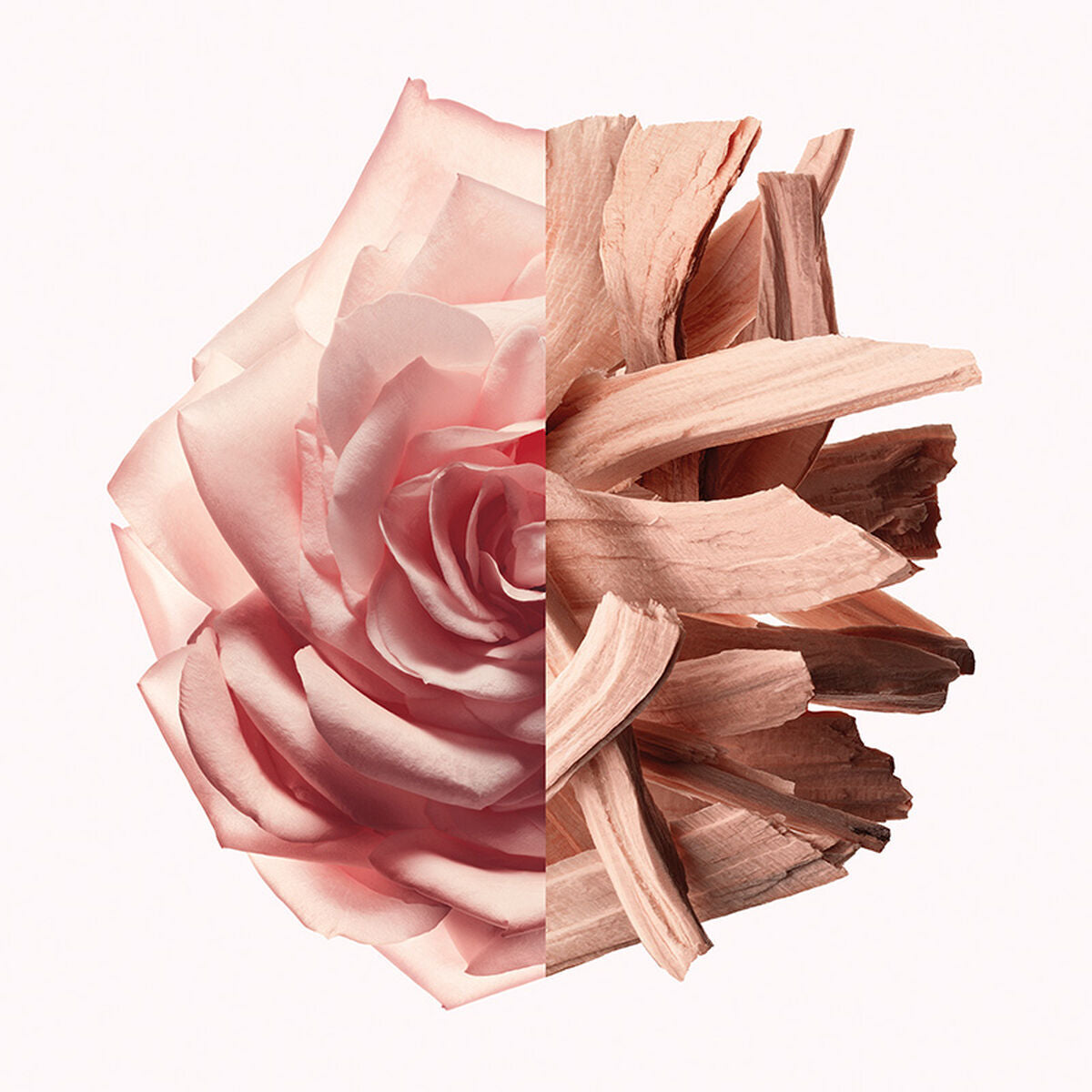 V2H2E89F9A2D7FB3B52EB9EA031DA6EE6BBR6994658P8