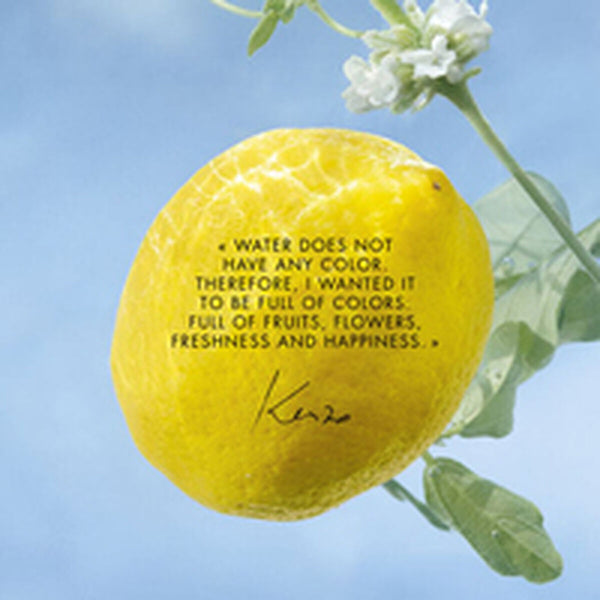 V5HAED640B69D77025D9A2C4FAB4767248DR6241656P3