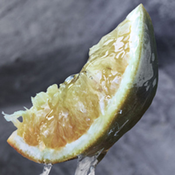 V4H06FBDA0741B4B47A05D7280DAF8E0ED2R5680723P8