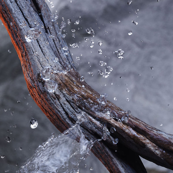 V4H8C8C64260C2FE73598E6AA2BB3B39CCFR5680724P9