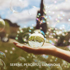 V2H6FBDBE742E17AFA4A121CCC32D72D2D2R7576811P6