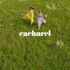 V2HDB35381138DBEC857E24B0A06D6ADF3FR7576815P10