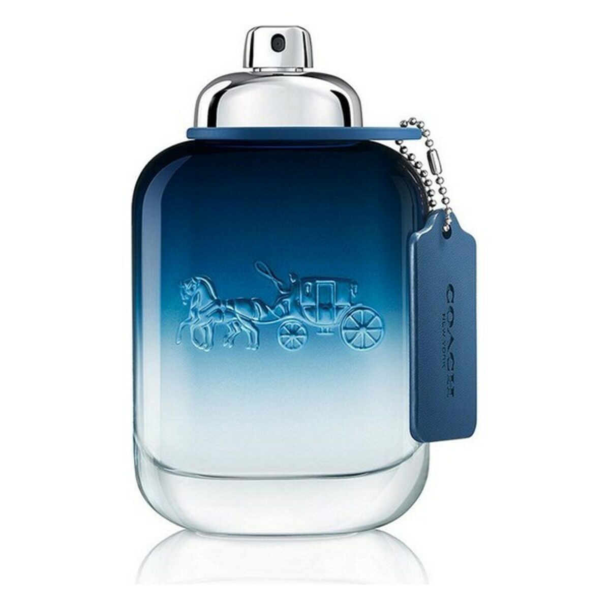 Herrenparfüm Blue Coach Blue Coach Blue 100 ml - AWK Flagship