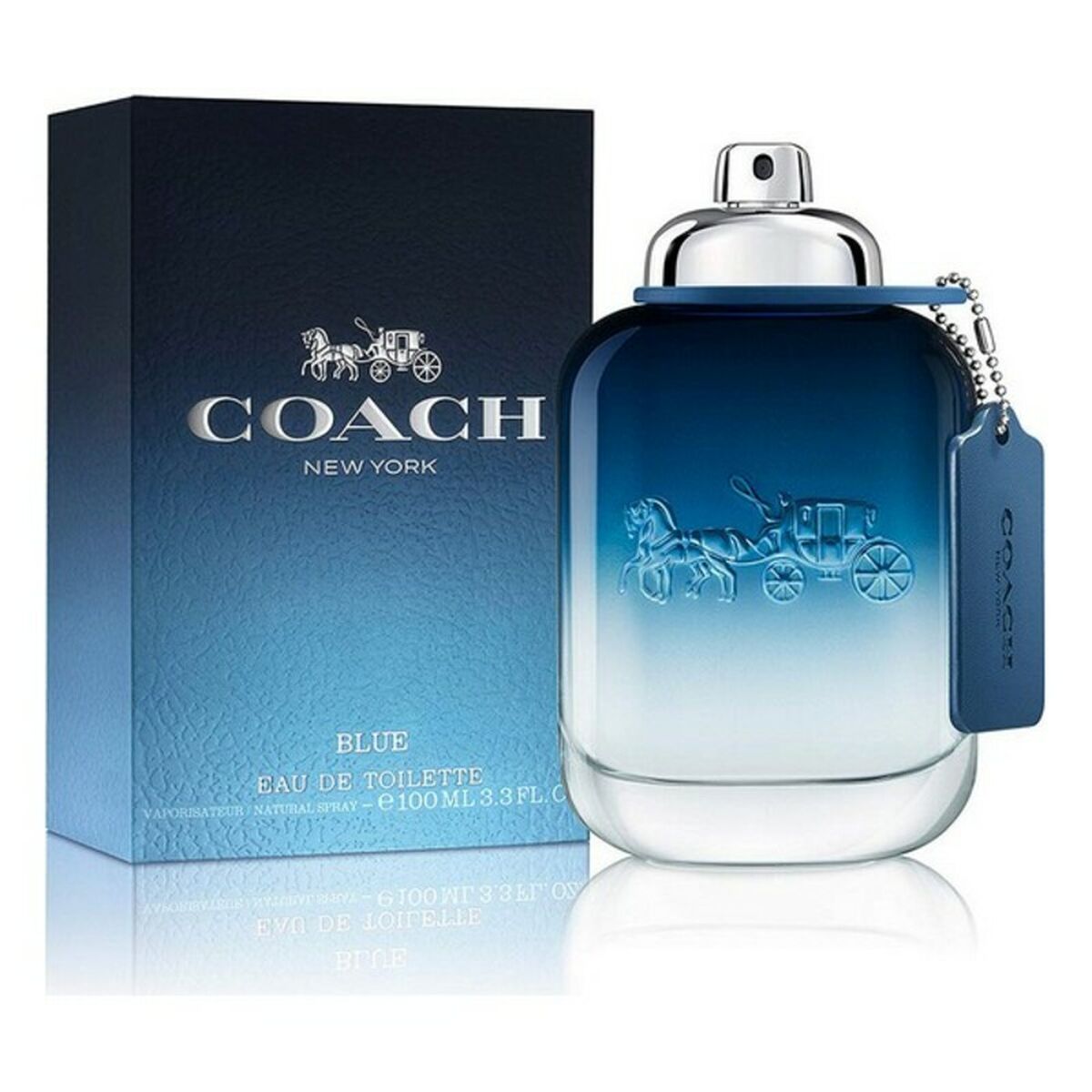 Herrenparfüm Blue Coach Blue Coach Blue 100 ml - AWK Flagship