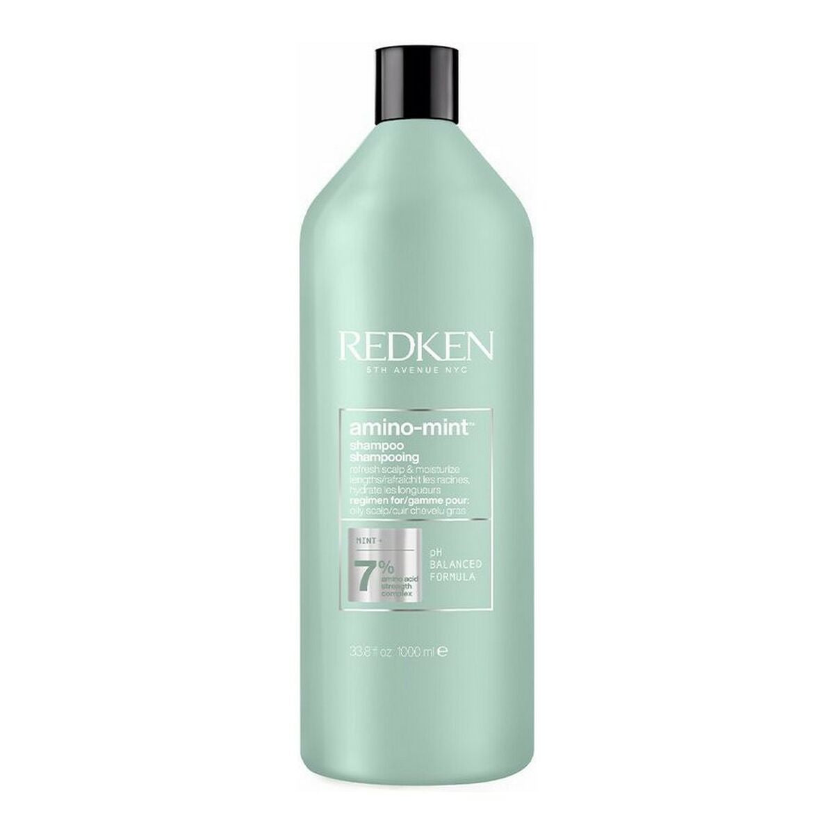 Shampoo Redken Amino Mint 1 L - AWK Flagship