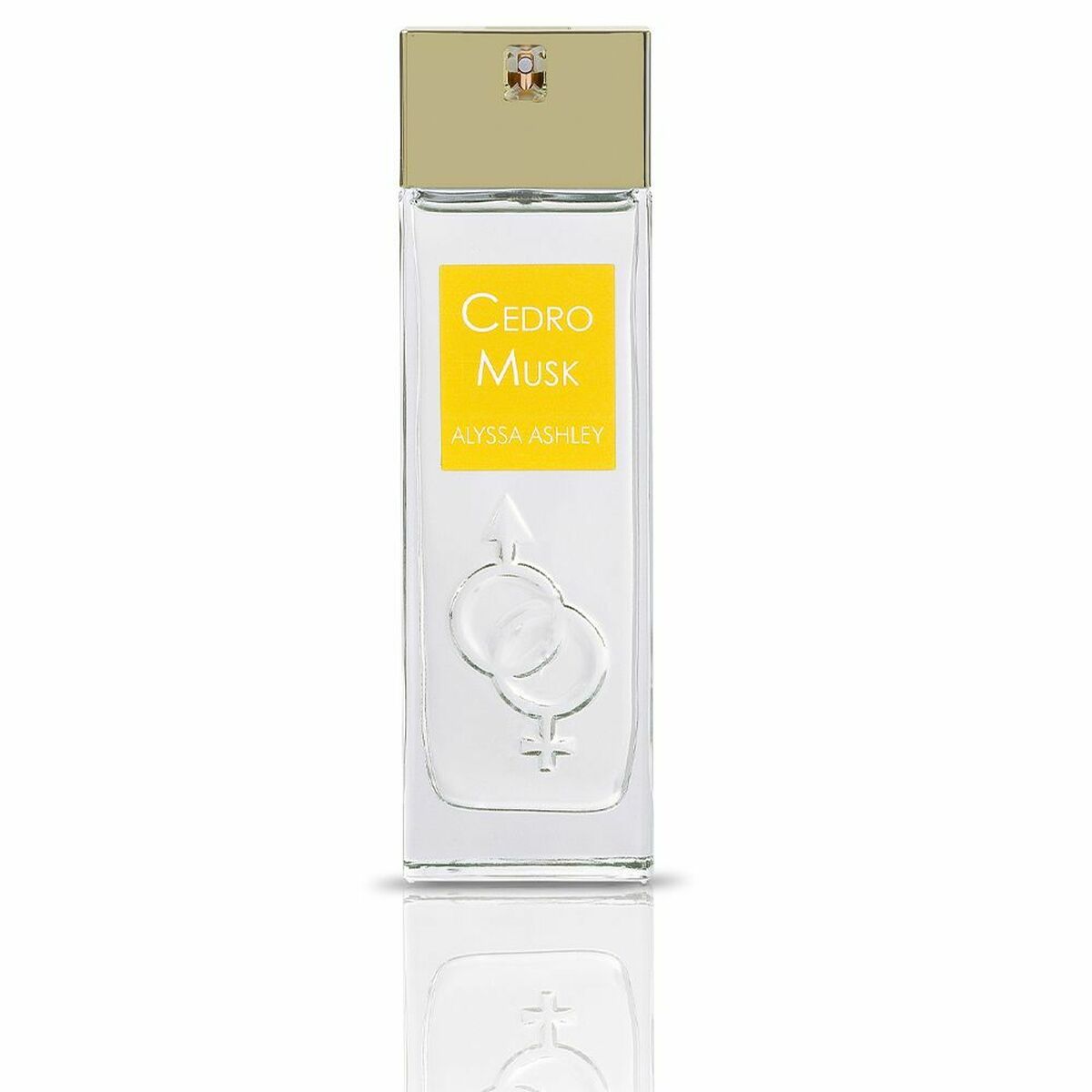 Unisex-Parfüm Alyssa Ashley Cedro Musk EDP 100 ml - AWK Flagship