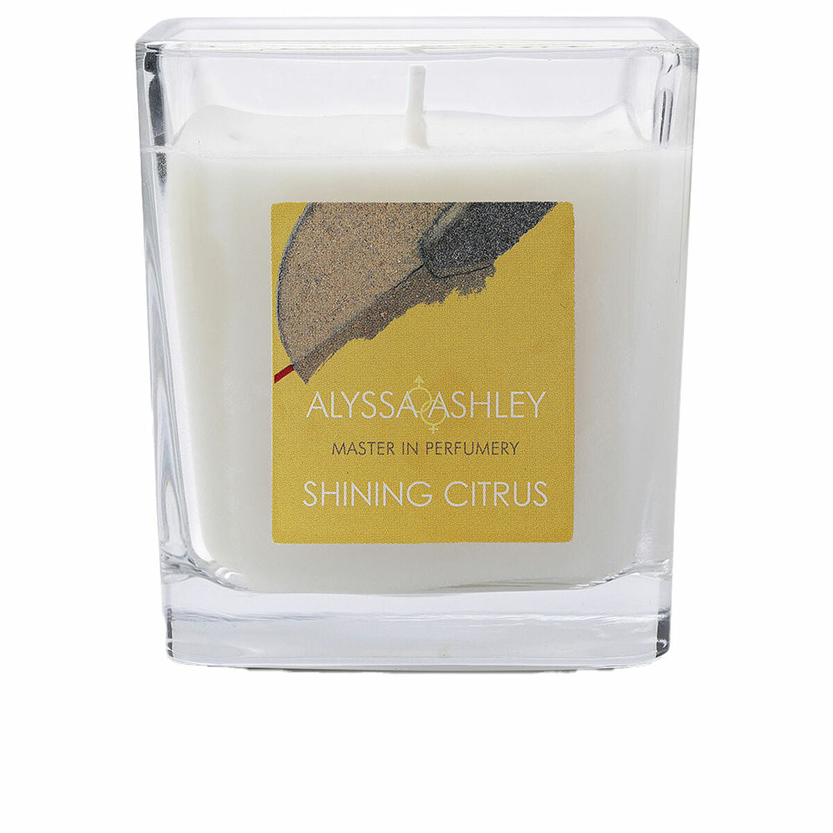 Duftkerze Alyssa Ashley Shining Citrus 145 g - AWK Flagship