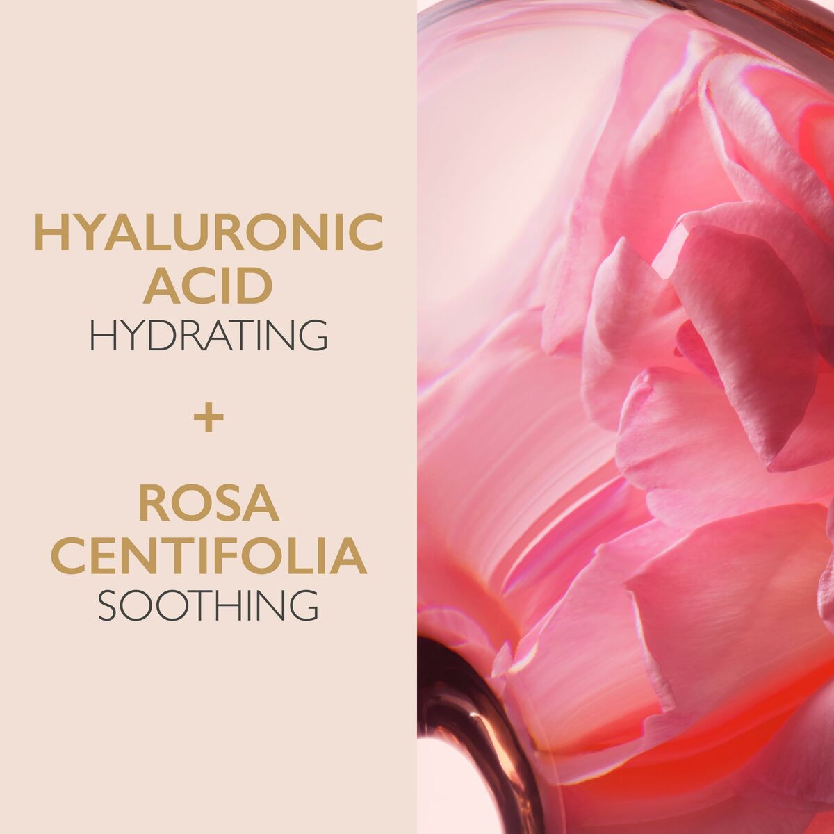 V5H139459385DAE27B55E09A73A22EED401R6241965P6