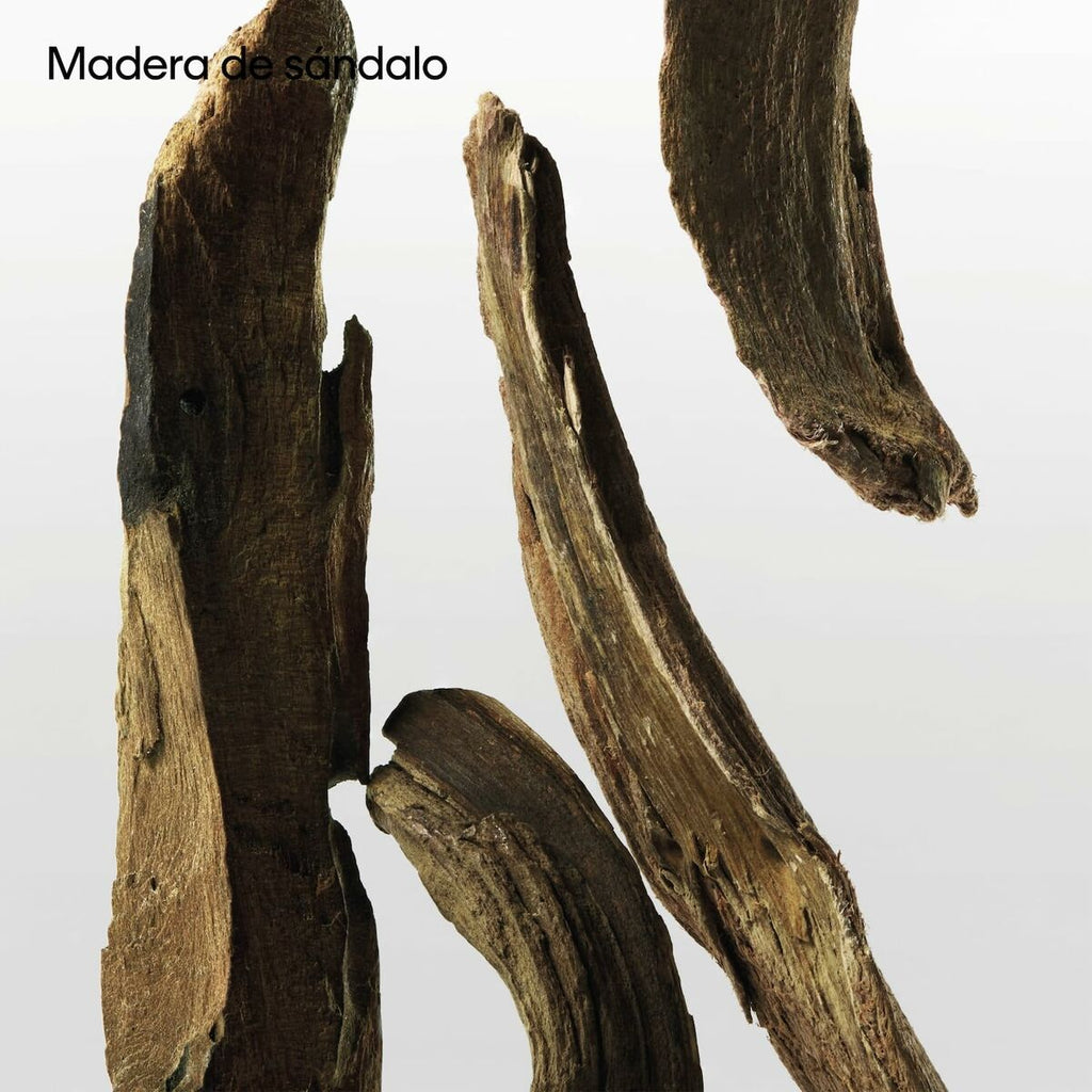 V4HA451631FE9227BB0A437E6188A776E68R5672457P9