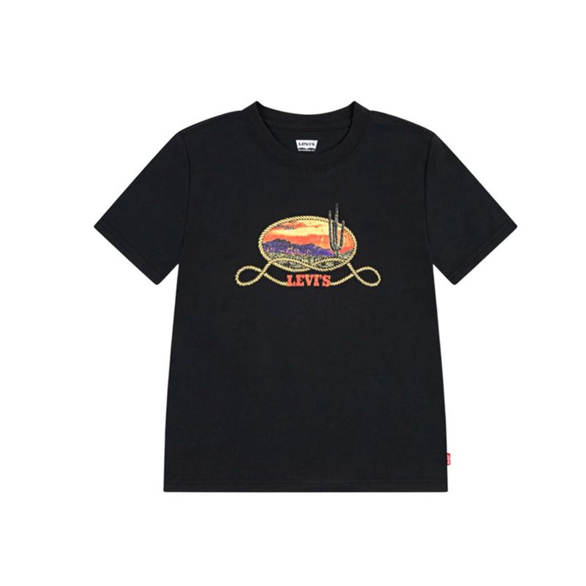 V2HF2D95C7FFFE4BE5CA9343320AE5EBA87R7690849P1