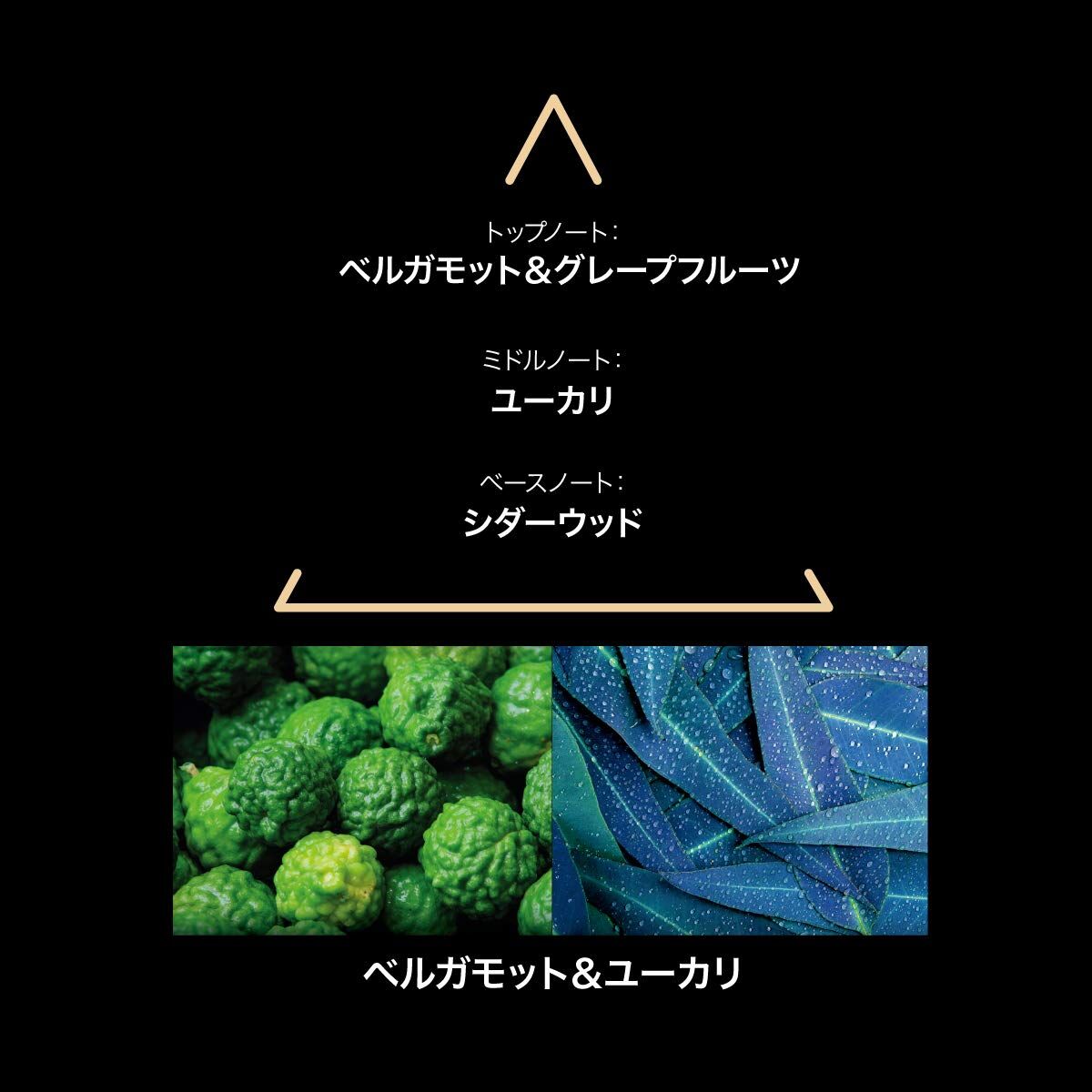 V2HB22C8E8F0BE9ED1815B889E504EBA1E4R7744410P3