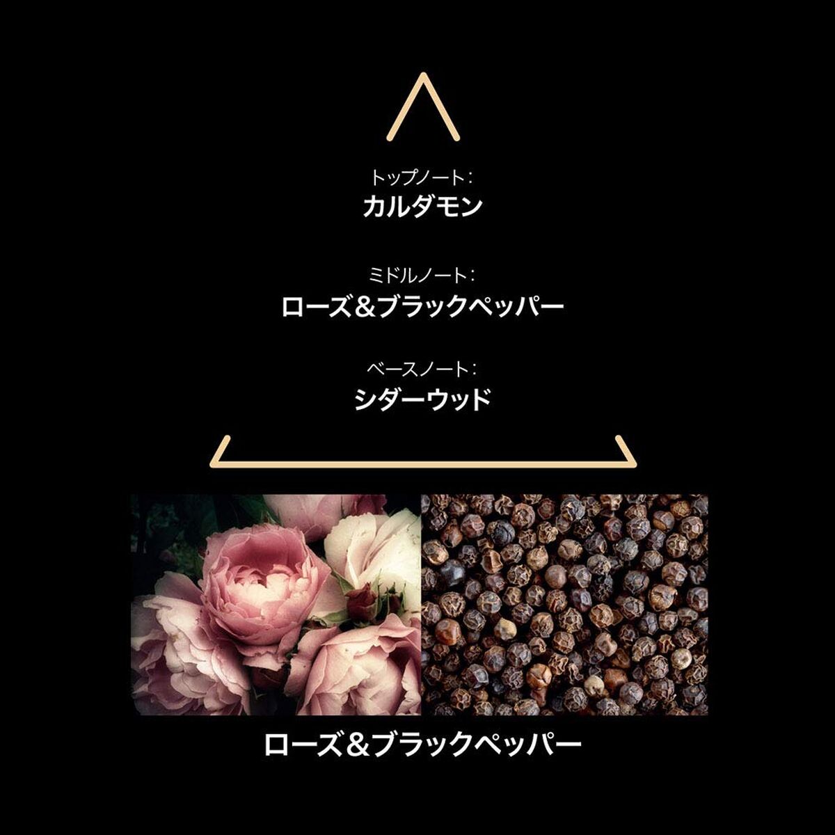 V2H38572B52981231137DE1BC5FFB247132R7744429P3