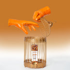 V5H40694A2C214522A825324F471999CCC9R4631729P7