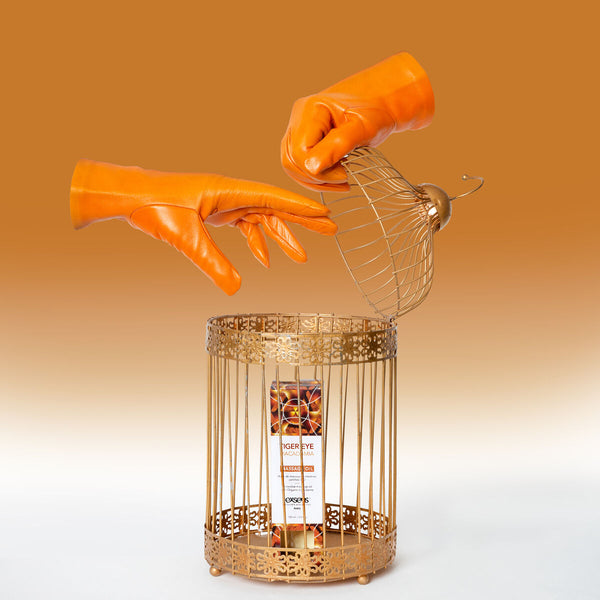 V5H40694A2C214522A825324F471999CCC9R4631729P7