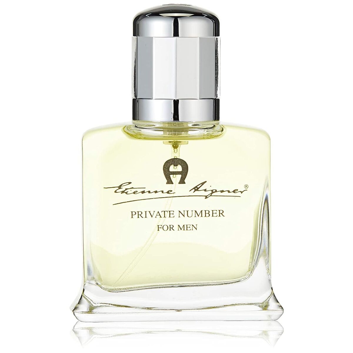 Herrenparfüm Aigner Parfums Private Number for Men EDT EDT 100 ml - AWK Flagship