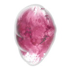 V6H4648A45A878344A617113A5F9BFD1432R4631847P6