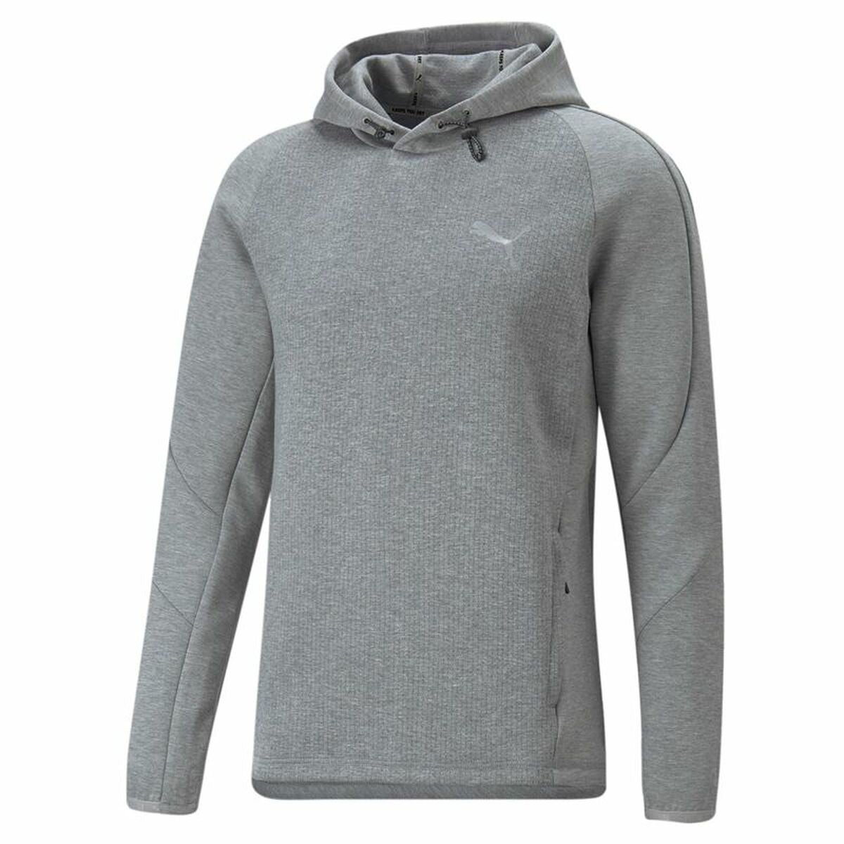 Herren Sweater mit Kapuze Puma Evostripe Grau - AWK Flagship