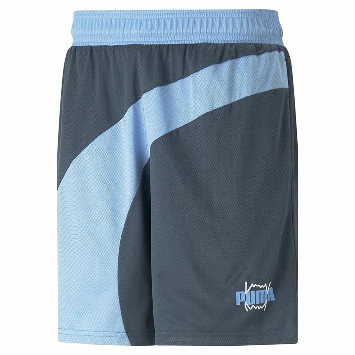 Heren Basketbal Shorts Puma Flare Blue