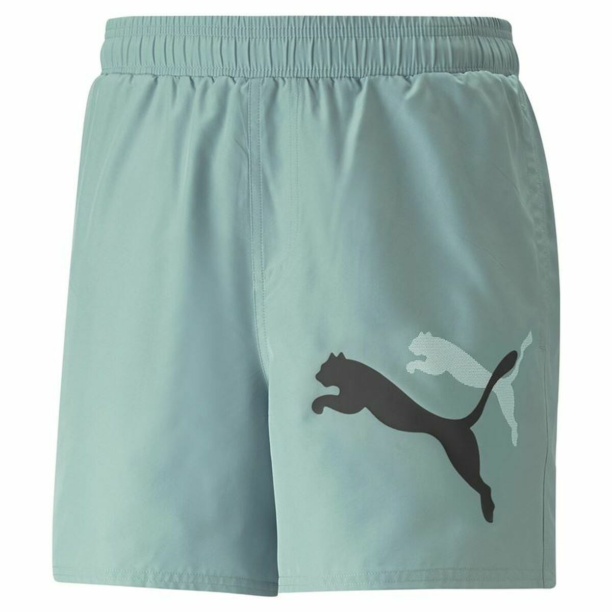 Herren-Sportshorts Puma Ess+ Logo Power Cat For All Time Aquamarin Blau grün - AWK Flagship