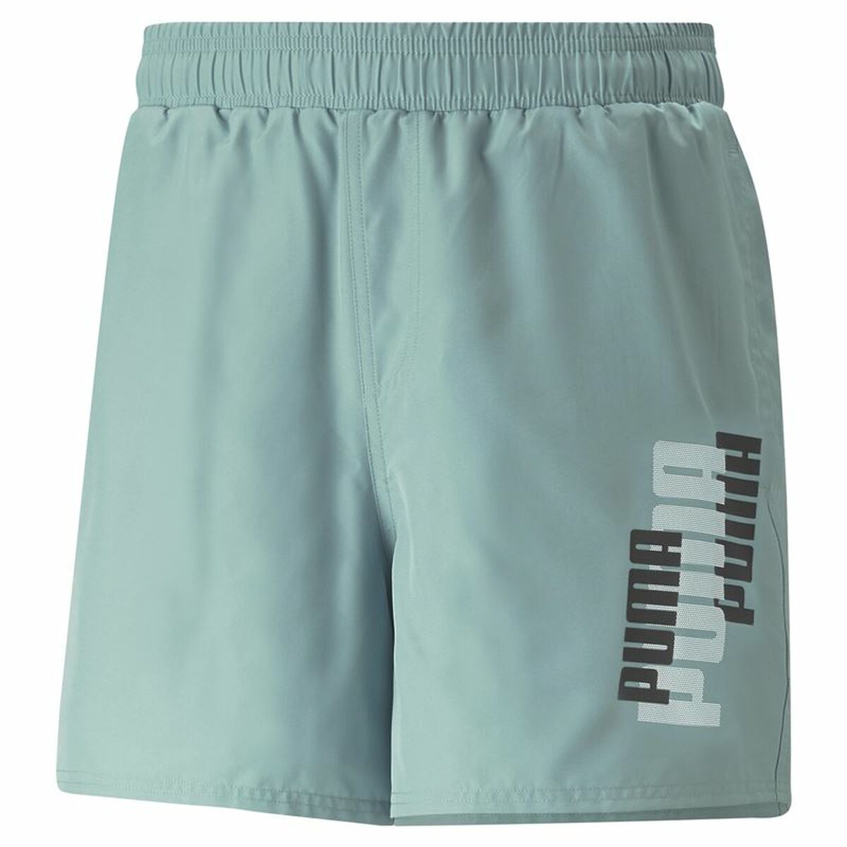 Herren-Sportshorts Puma Ess+ Logo Power Aquamarin - AWK Flagship