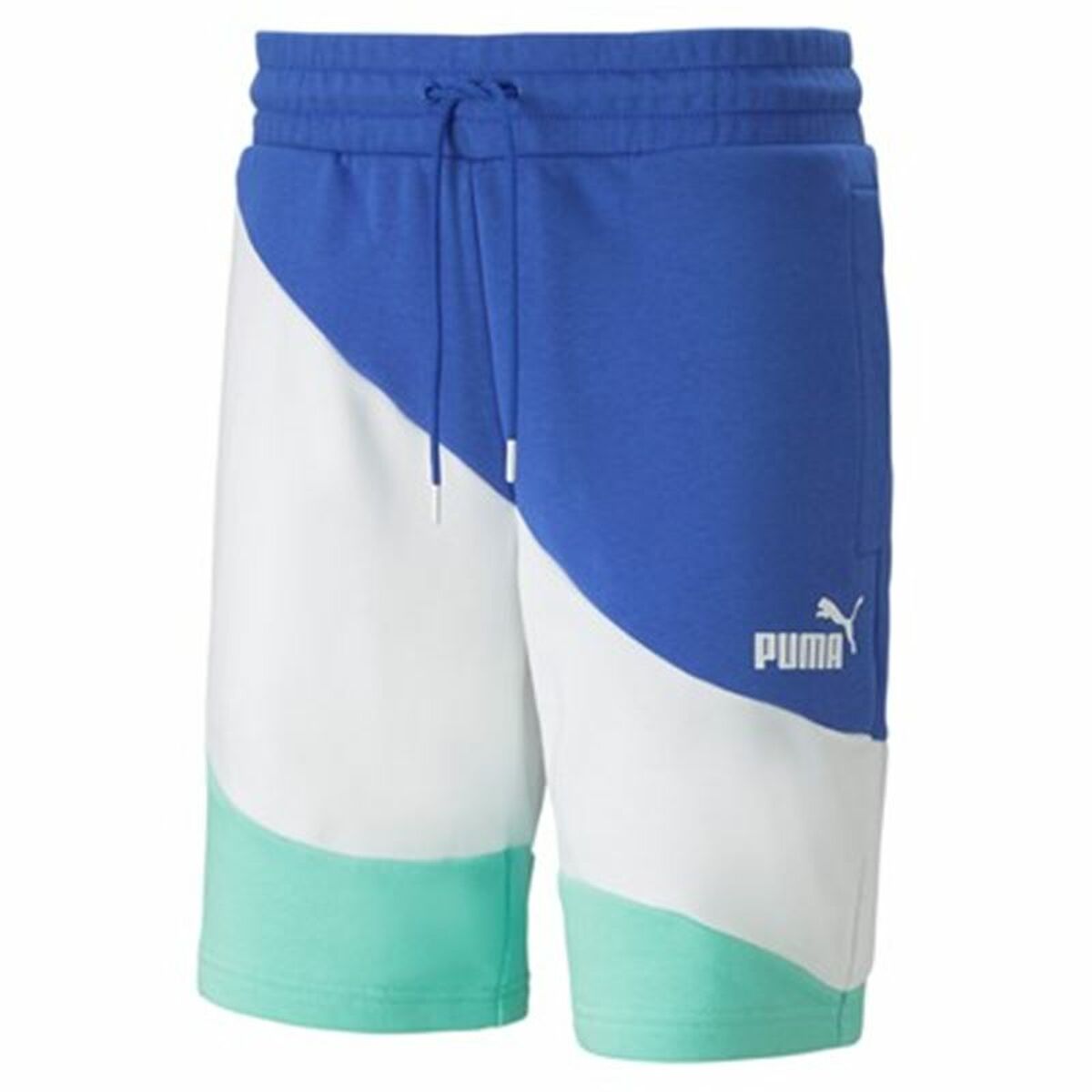 Herren-Sportshorts Puma Power Cat Bunt - AWK Flagship