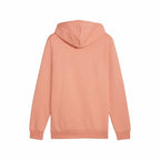 V6HE8B148DD74837C037667C2CBB4E501A7R5460206P2