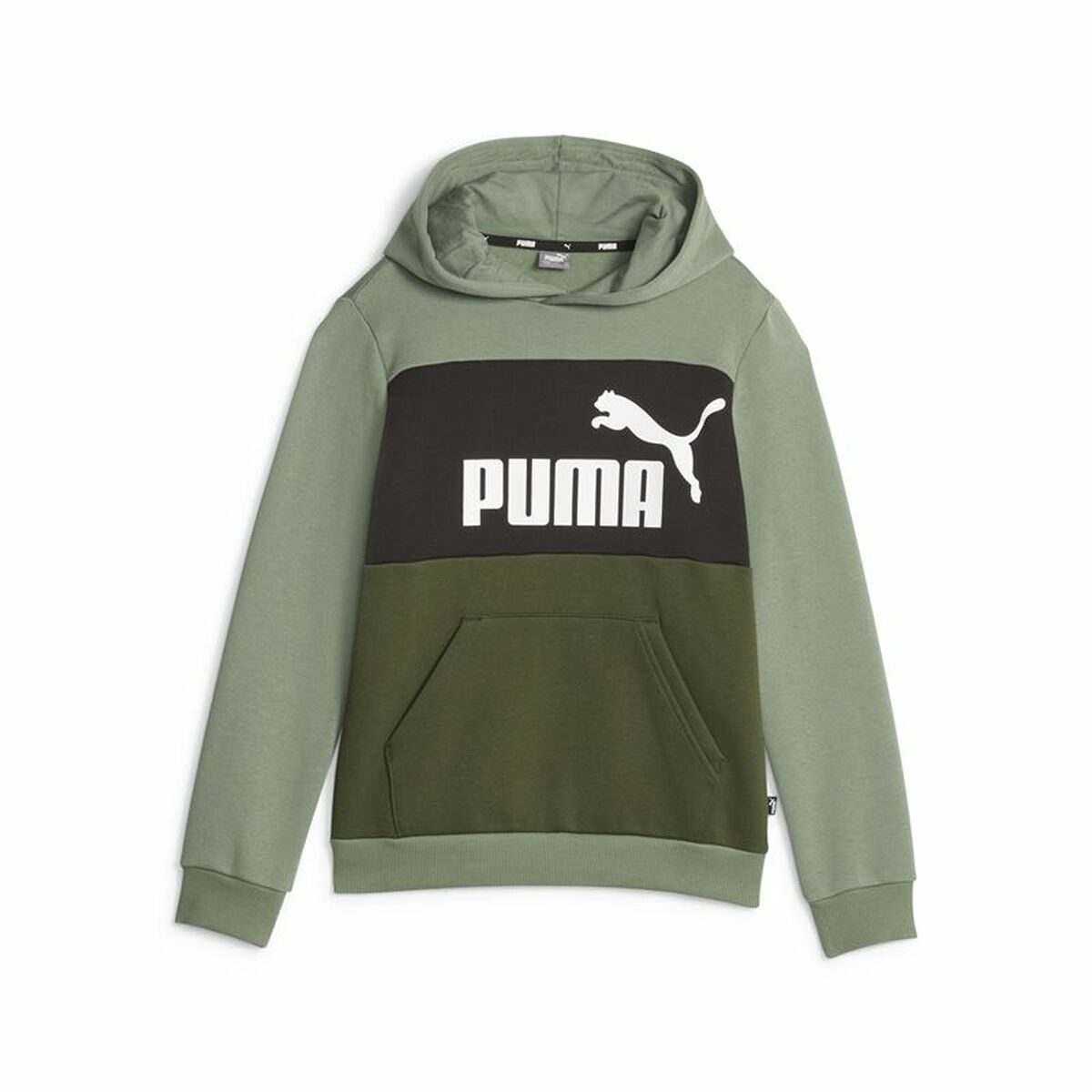 Kaufe Kinder-Sweatshirt Puma Ess Block Fl grün bei AWK Flagship um € 54.00