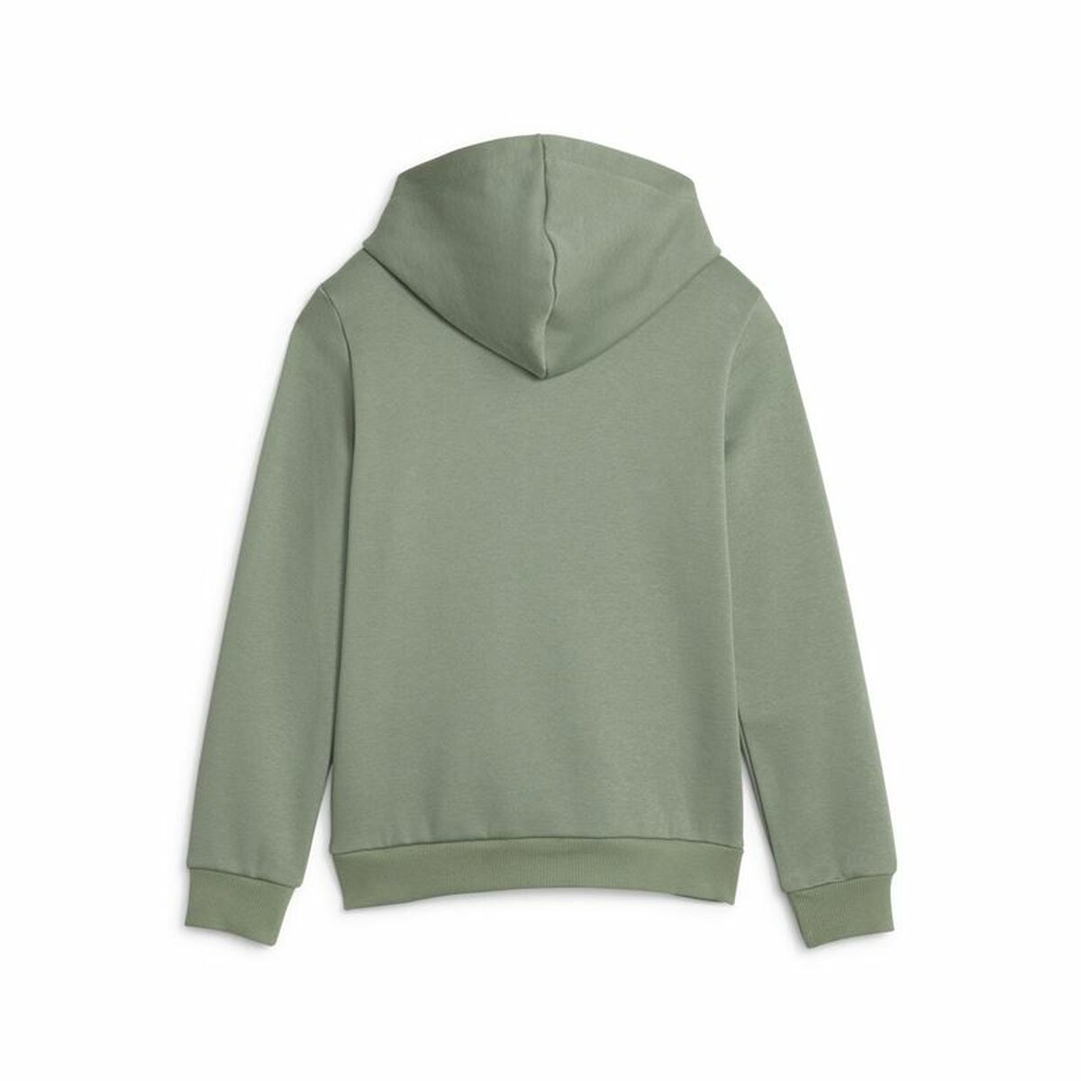 Kinder-Sweatshirt Puma Ess Block Fl grün - AWK Flagship