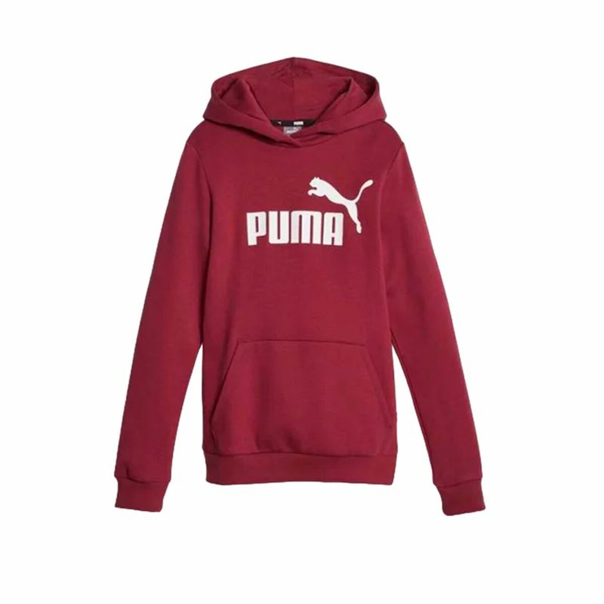 Kinder-Sweatshirt Puma Ess Logo Fl - AWK Flagship