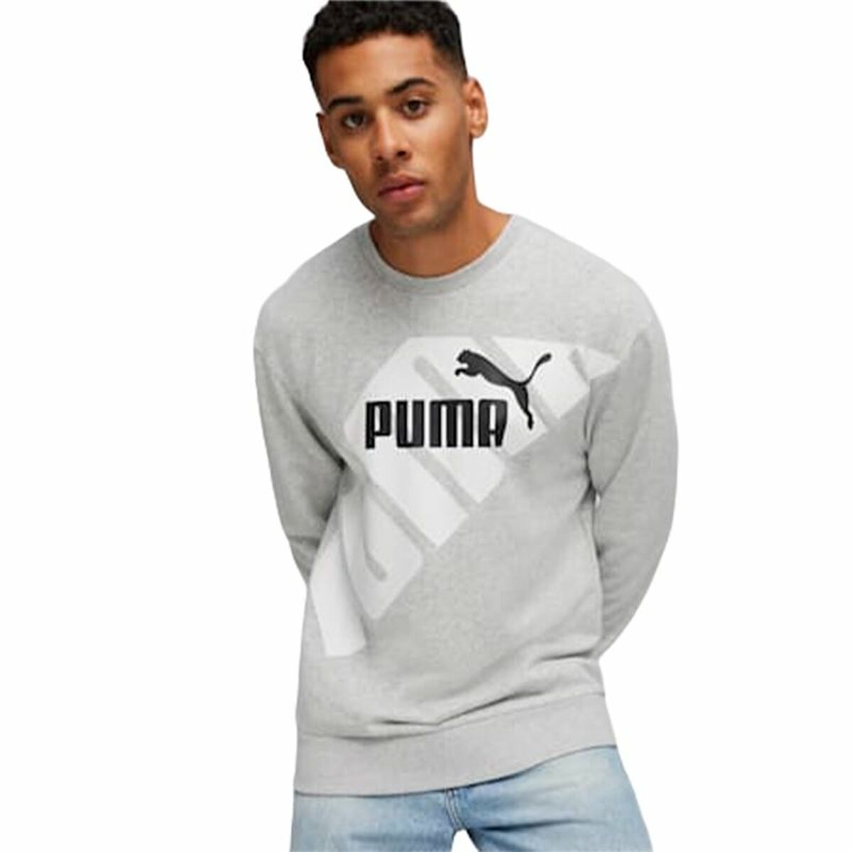 Herren Sweater ohne Kapuze Puma POWER Graphic C Grau - AWK Flagship