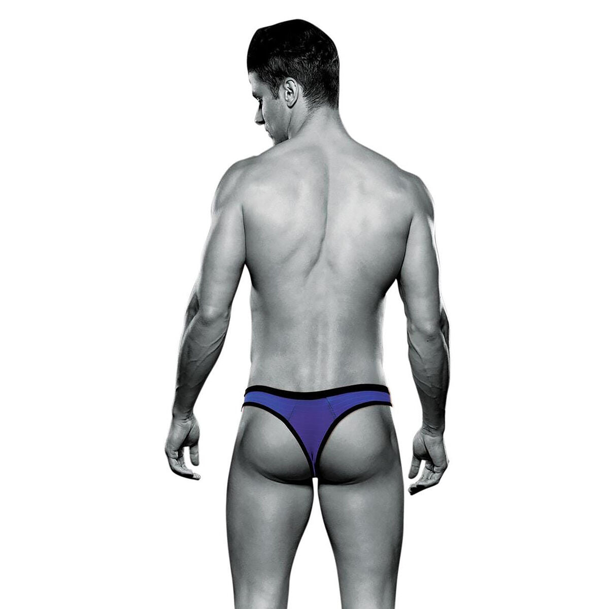 Tanga Envy Lila M/L - AWK Flagship