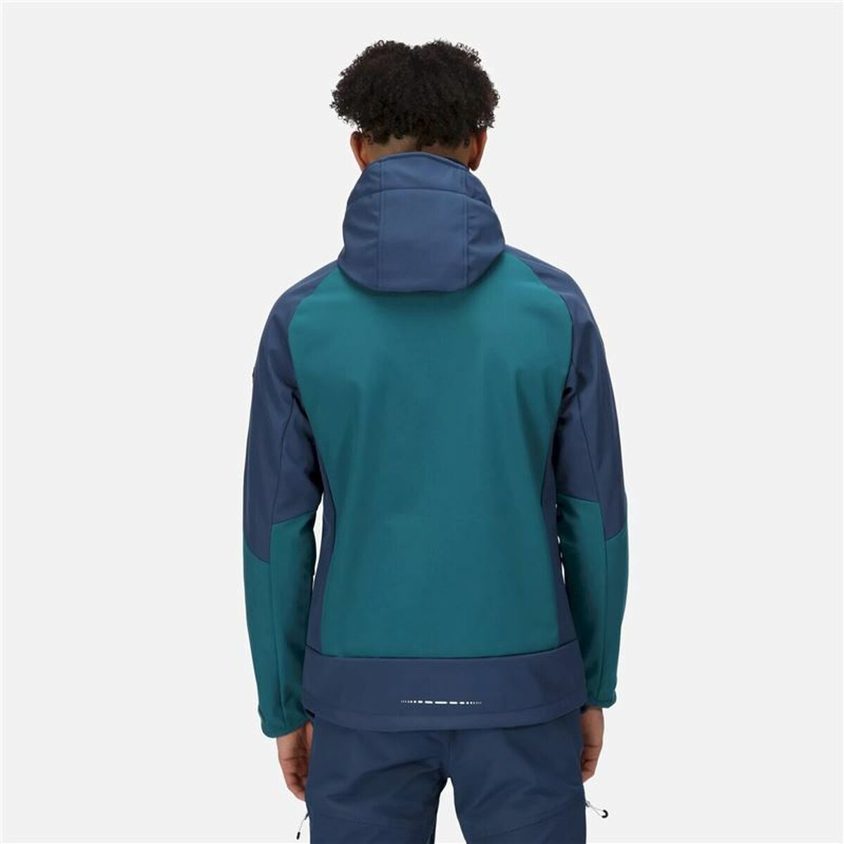 Sportjacke für Herren Regatta Hewitts VII Blau grün Kapuze - AWK Flagship