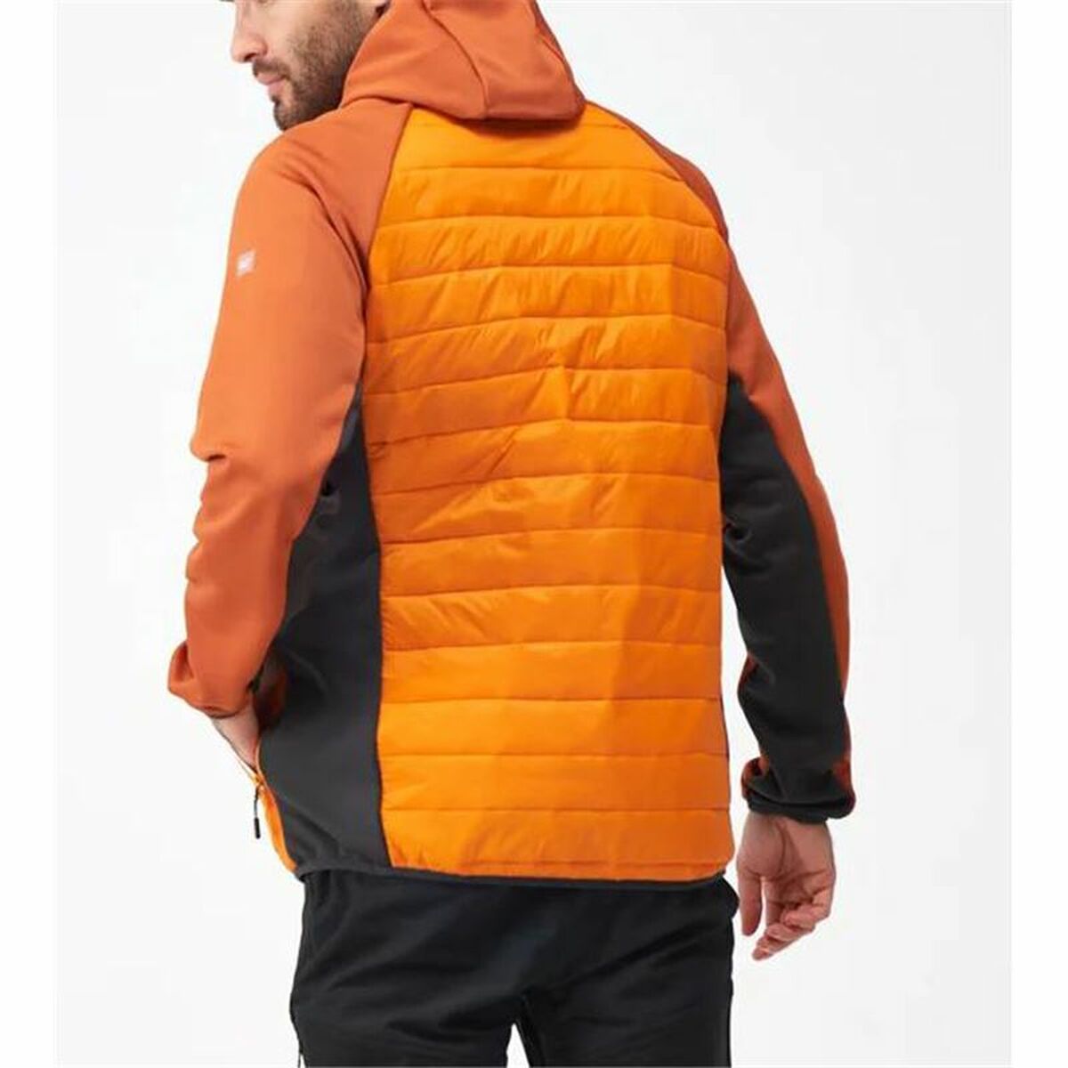 Sportjacke für Herren Regatta Andreson VIII Hybrid Orange - AWK Flagship