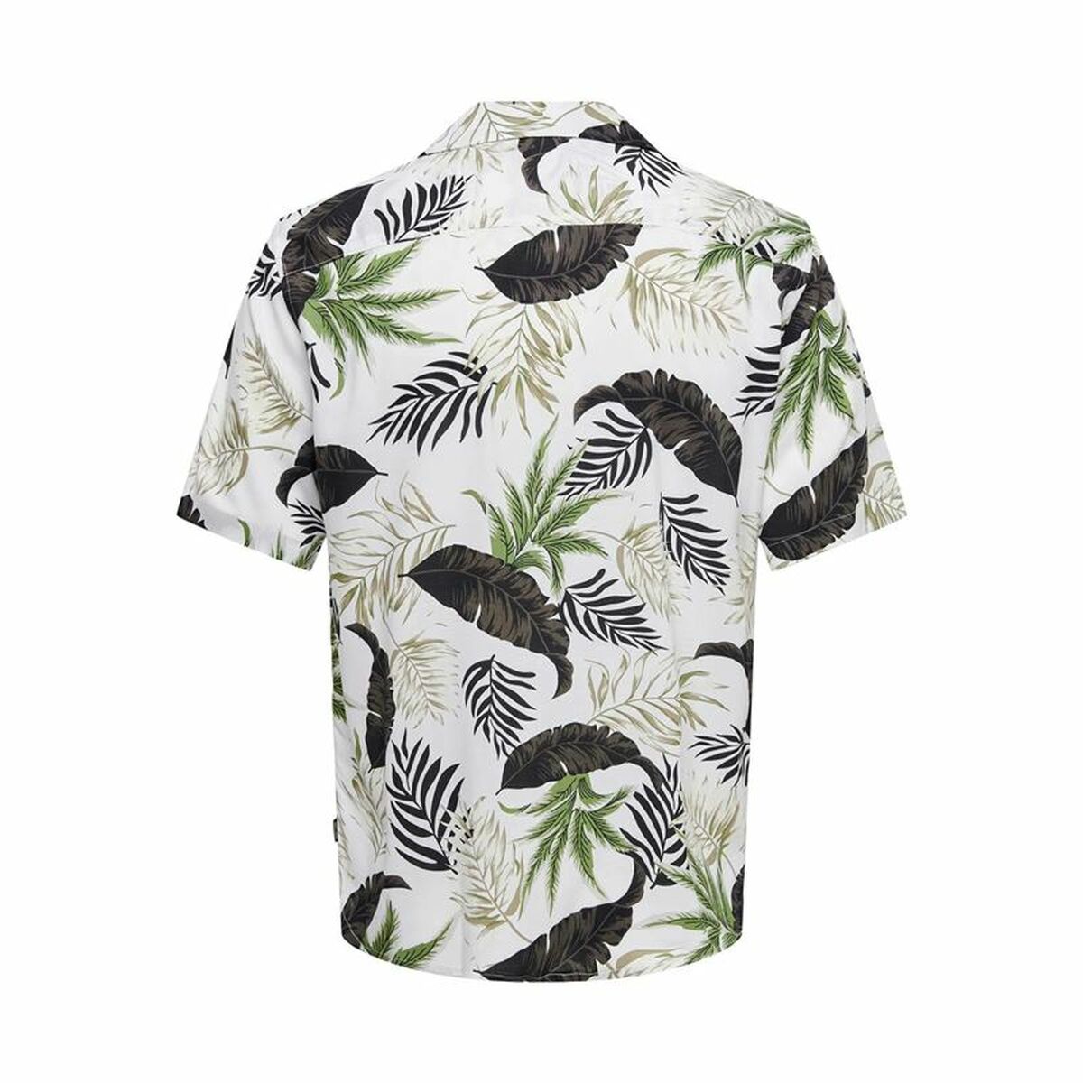 V6H5C9CAF7732CB659843B8F9AE0DC3A3DDR4371319P2