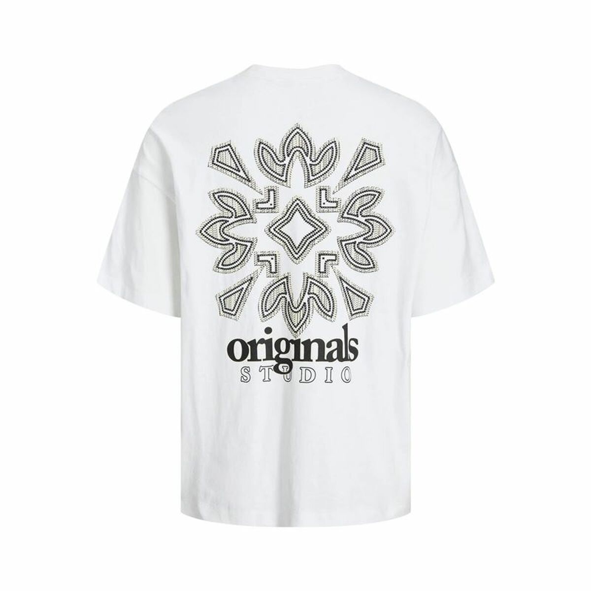 V8HE0B7EE31395F91DB16C8C9AA185708E2R4479625P2